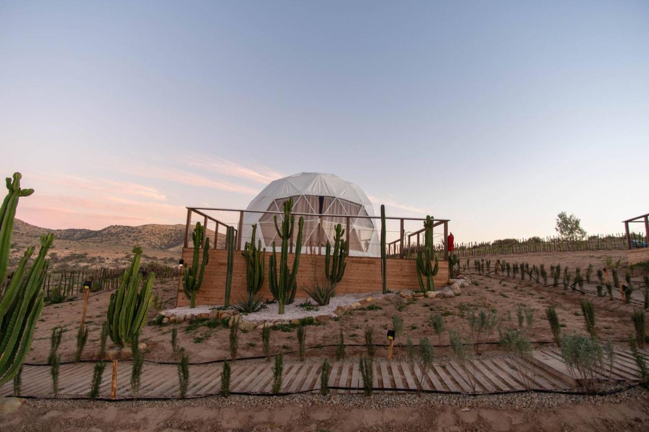 Отель Timlalin Dome Tamri Экстерьер фото